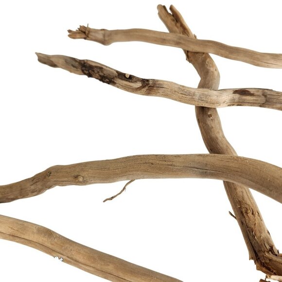 Natural Driftwood Pieces For Crafting & Home Decor 5 pieces - Picture 2 of 11